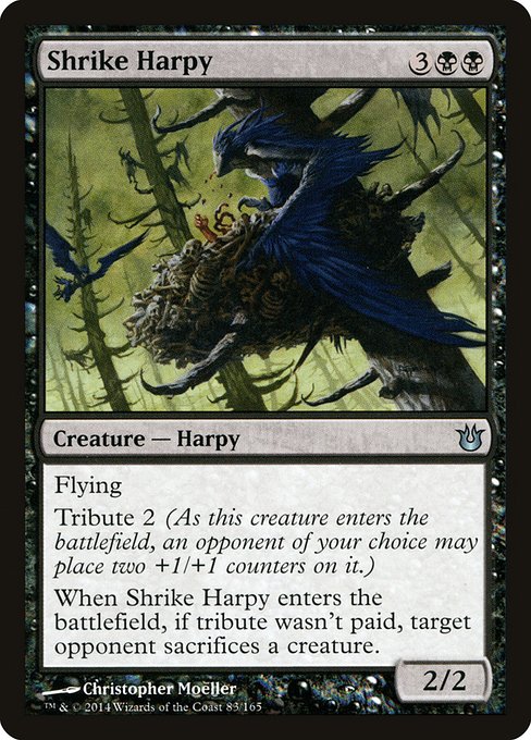 Shrike Harpy (BNG-83)