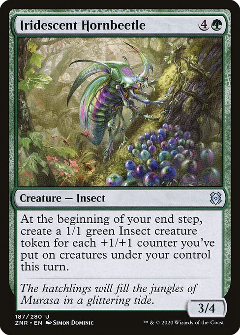 Iridescent Hornbeetle (ZNR-187)
