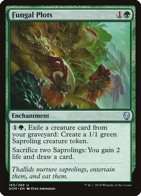 Fungal Plots (DOM-160)