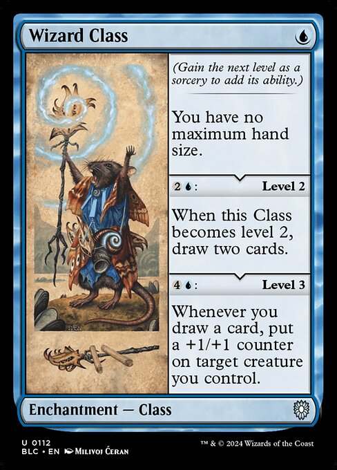 Wizard Class (BLC-112)
