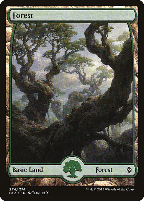 Forest (BFZ-274)
