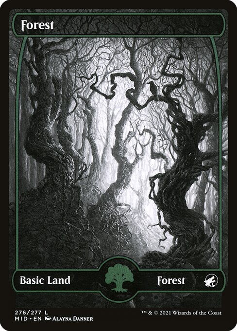 Forest (MID-276)
