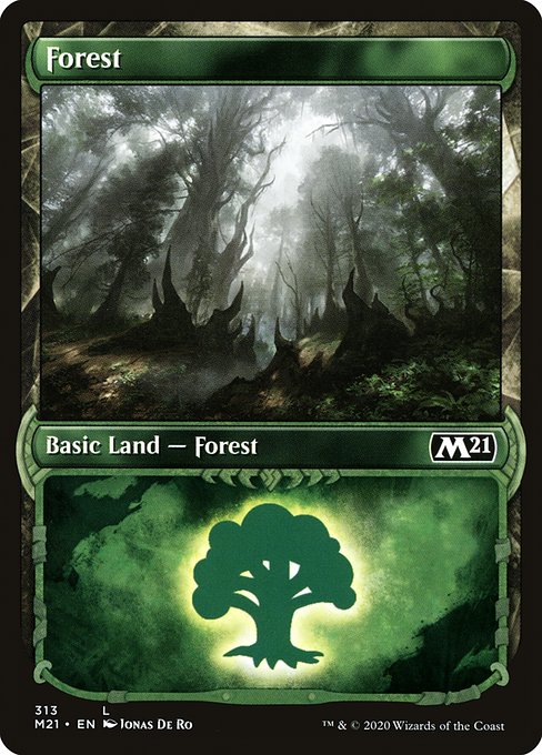 Forest (M21-313)