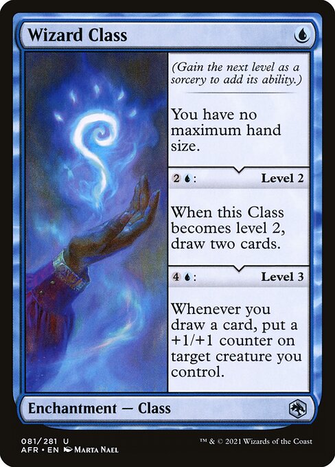 Wizard Class (AFR-81)