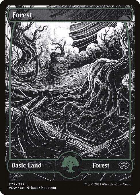 Forest (VOW-277)