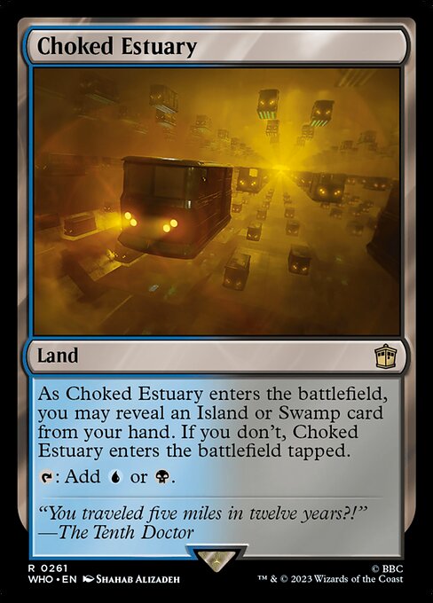 Choked Estuary (WHO-261)