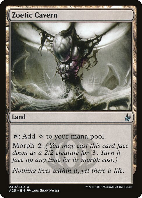 Zoetic Cavern (A25-249)