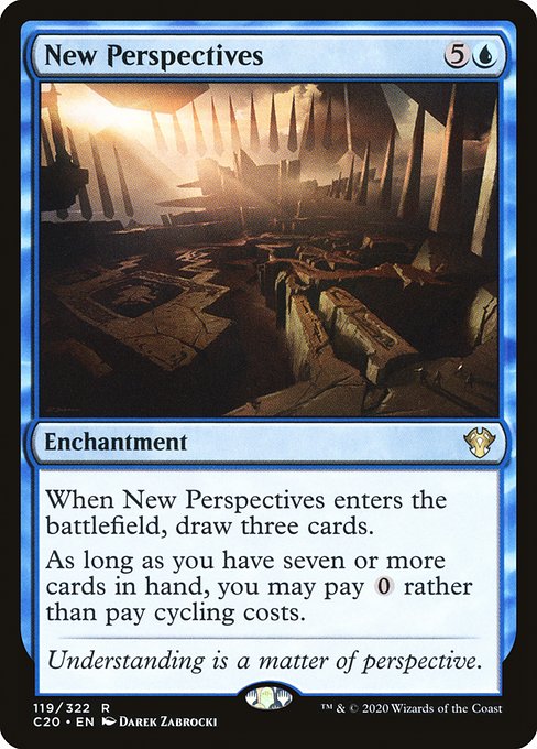 New Perspectives (C20-119)