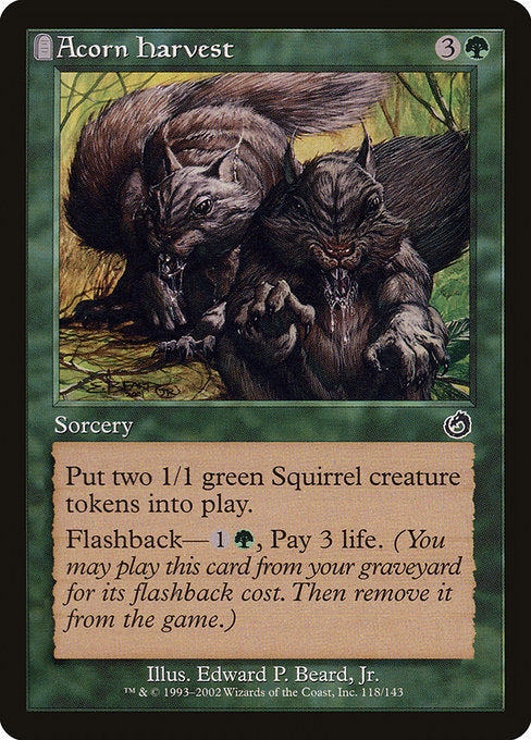 Acorn Harvest (TOR-118)