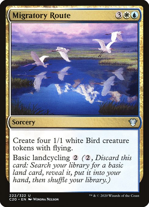 Migratory Route (C20-222)