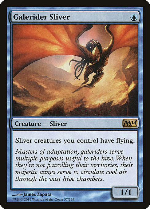 Galerider Sliver (M14-57)