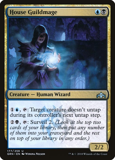 House Guildmage (GRN-177)