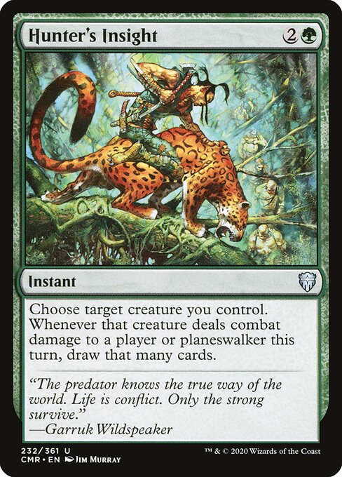 Hunter's Insight (CMR-232)