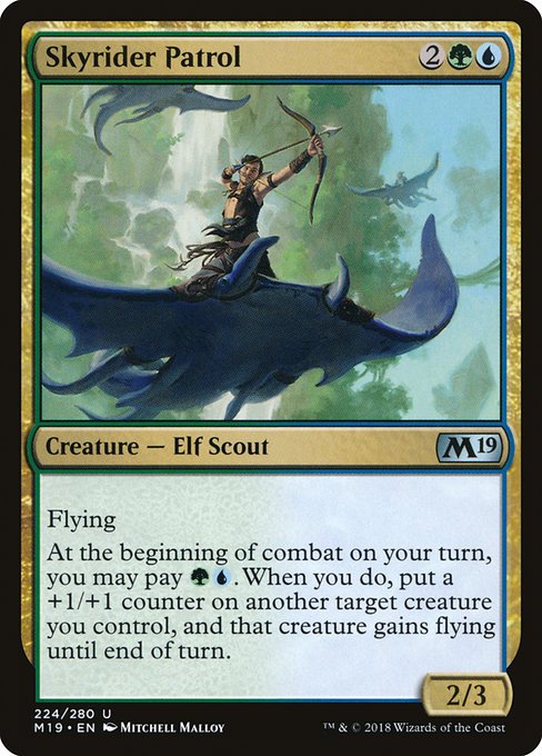 Skyrider Patrol (M19-224)