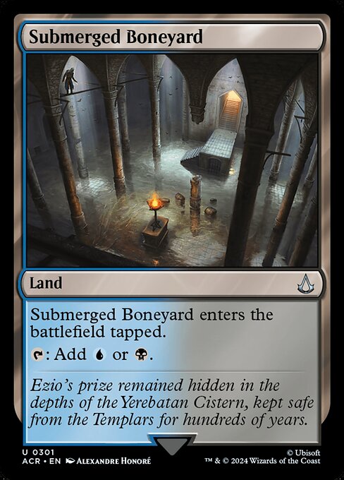 Submerged Boneyard (ACR-301)