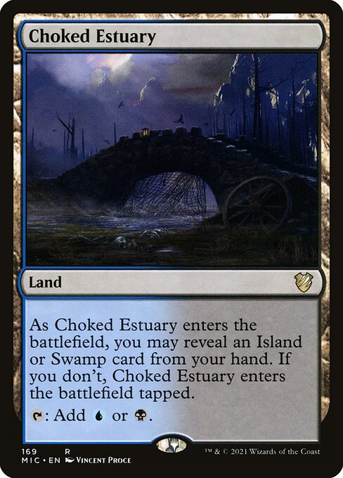 Choked Estuary (MIC-169)