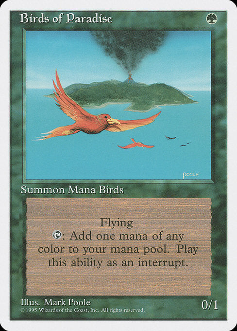 Birds of Paradise (4ED-234)