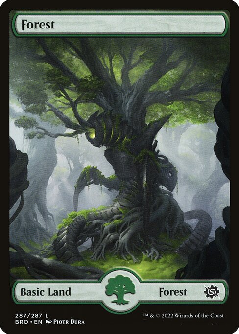 Forest (BRO-287)
