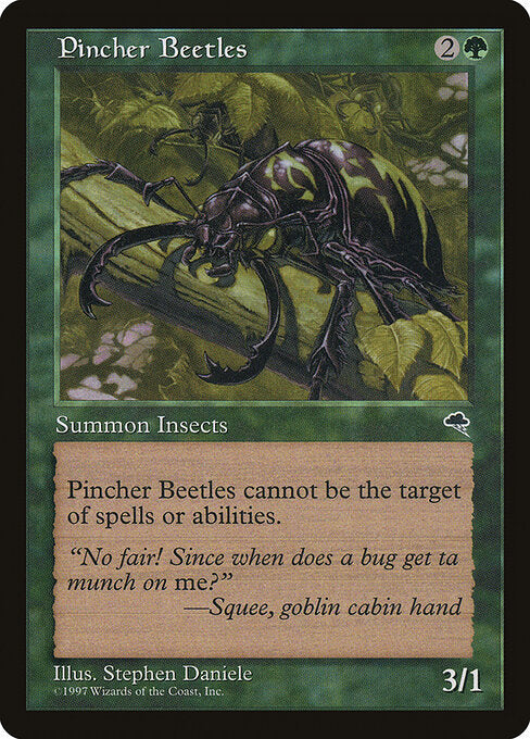 Pincher Beetles (TMP-244)