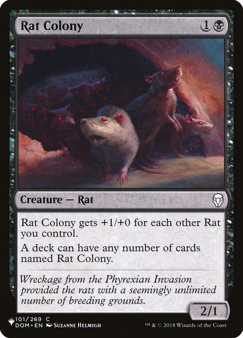 Rat Colony (PLST-DOM-101)