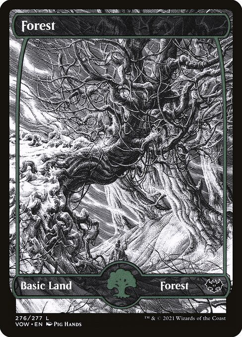 Forest (VOW-276)